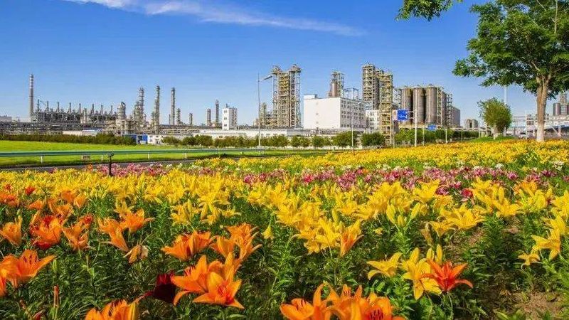 小批量化工原料选型：规格型号背后的关键考量**